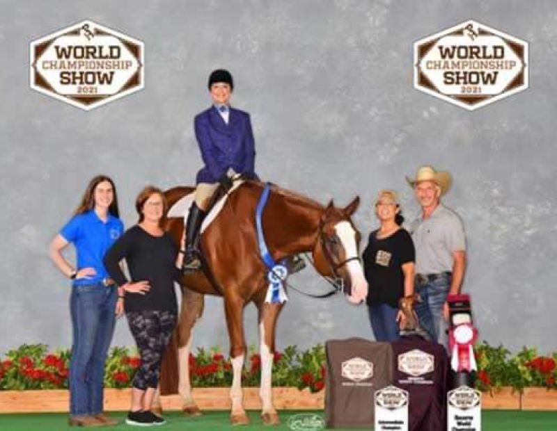 Kevin McDavitt with winning horse PWC show