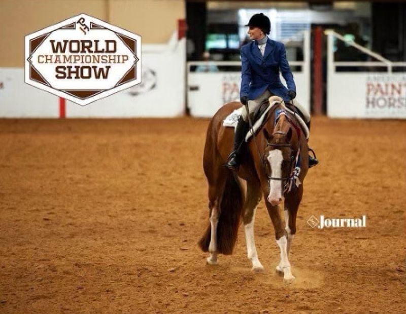 Kevin McDavitt with winning horse PWC show